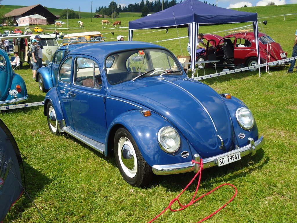 (129'228) - VW-K�fer - SO 79'941 - am 4. September 2004 in Wachseldorn