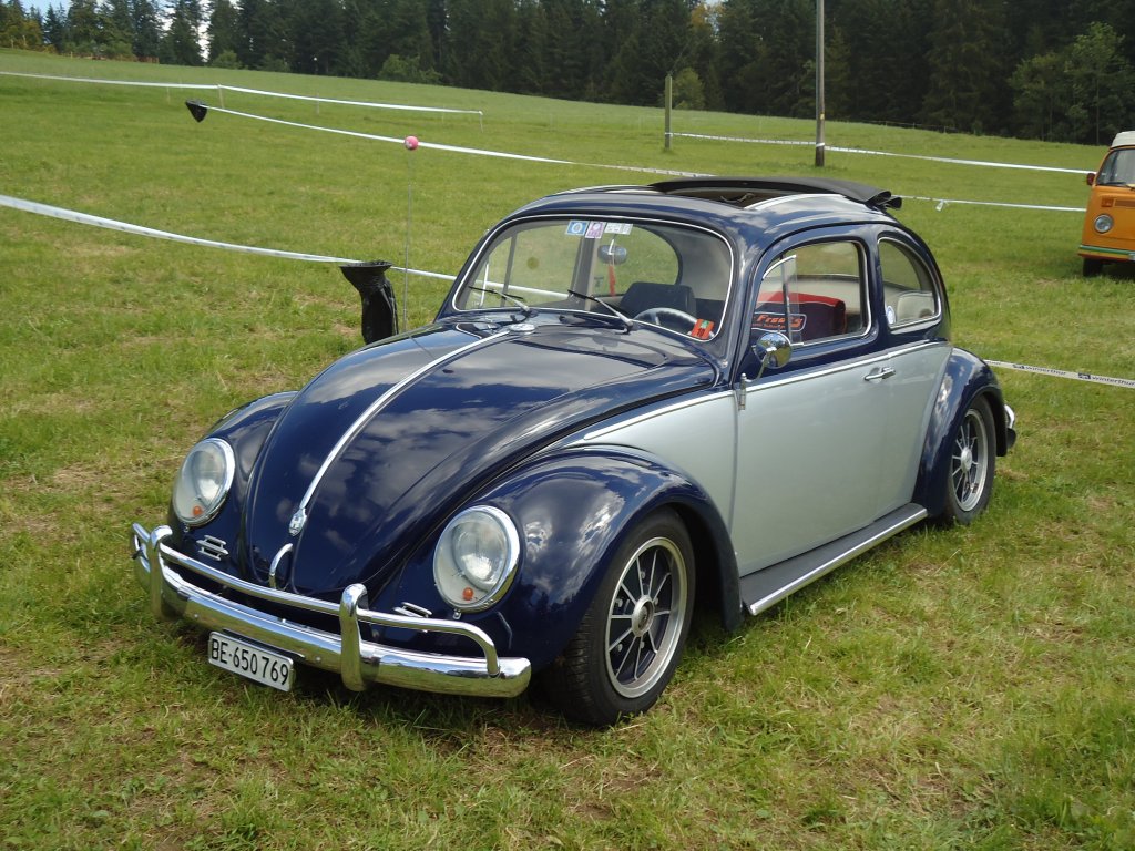 (129'239) - VW-K�fer - BE 650'769 - am 4. September 2010 in Wachseldorn