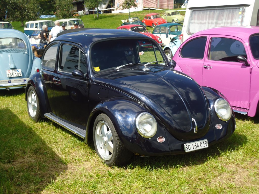 (129'244) - VW-K�fer - SO 164'019 - am 4. September 2010 in Wachseldorn