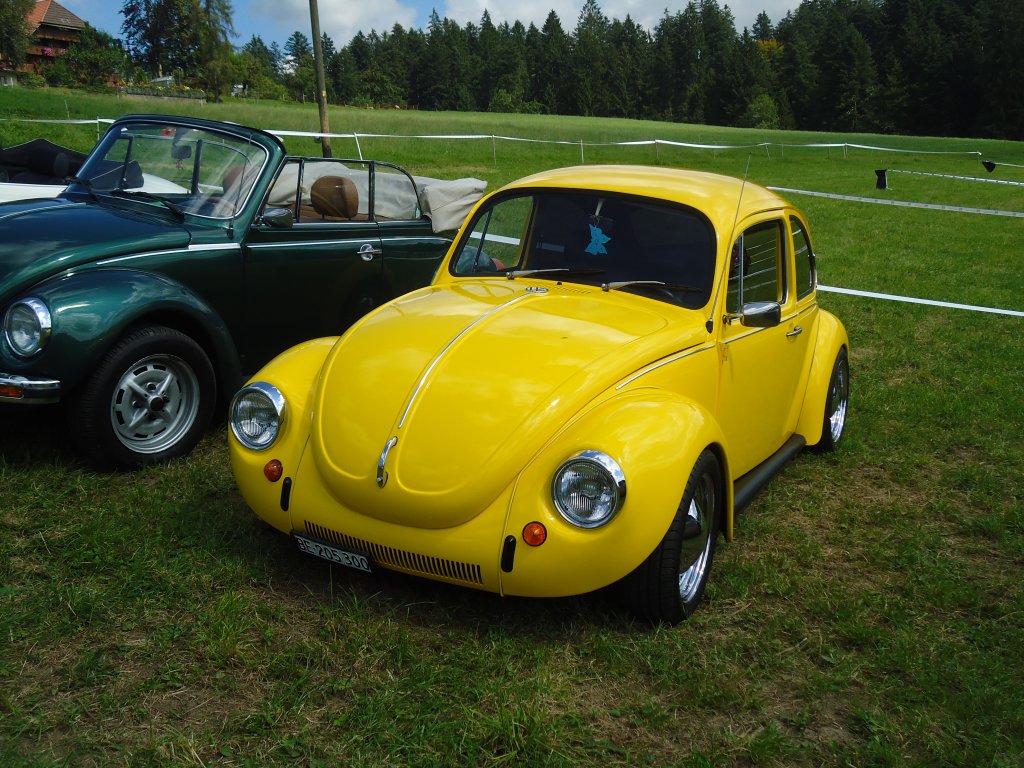 (129'250) - VW-K�fer - BE 205'300 - am 4. September 2010 in Wachseldorn