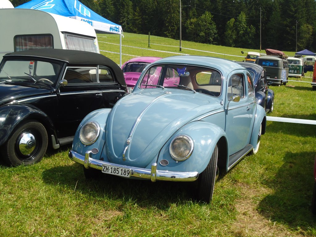 (129'256) - VW-K�fer - ZH 185'189 - am 4. September 2010 in Wachseldorn