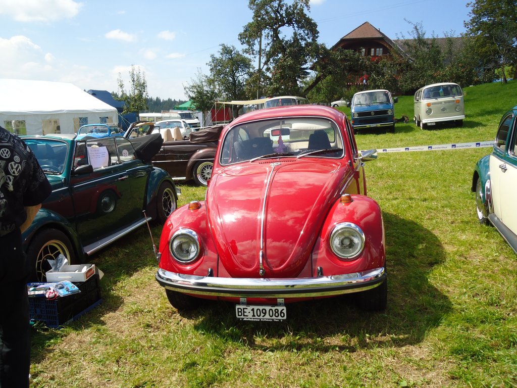 (129'258) - VW-K�fer - BE 109'086 - am 4. September 2010 in Wachseldorn