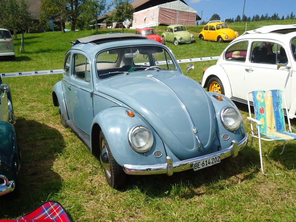 (129'260) - VW-K�fer - BE 614'202 - am 4. September 2010 in Wachseldorn