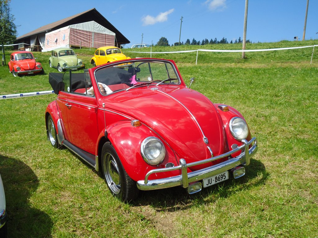 (129'262) - VW-K�fer - JU 8695 - am 4. September 2010 in Wachseldorn