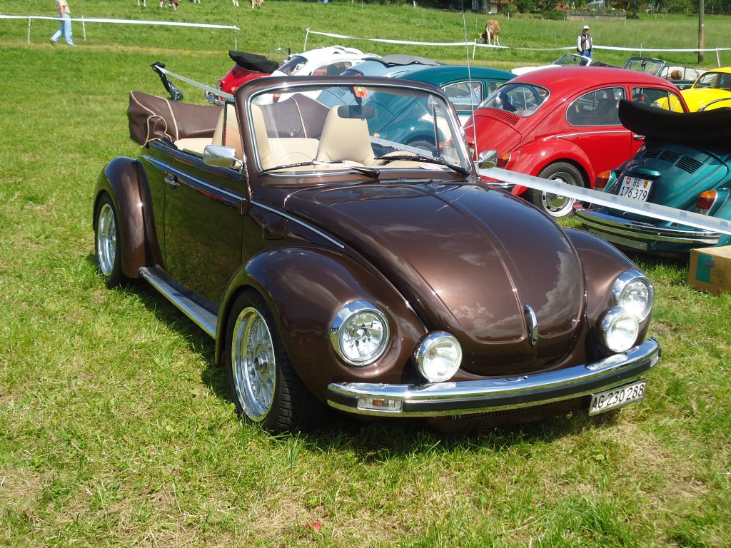 (129'267) - VW-K�fer - AG 230'288 - am 4. September 2010 in Wachseldorn