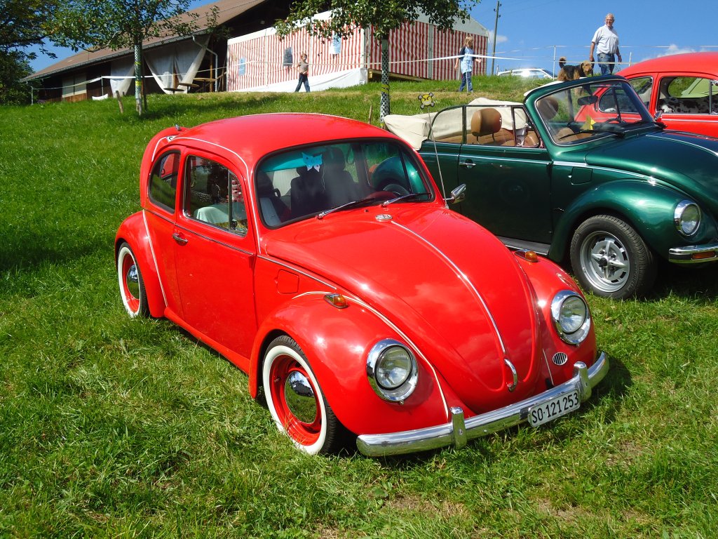 (129'290) - VW-K�fer - SO 121'253 - am 4. September 2010 in Wachseldorn