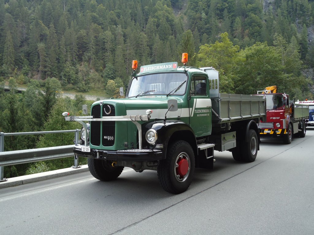 (129'871) - Fleischmann, Altendorf - SZ 529 - Berna am 18. September 2010 bei Valendas