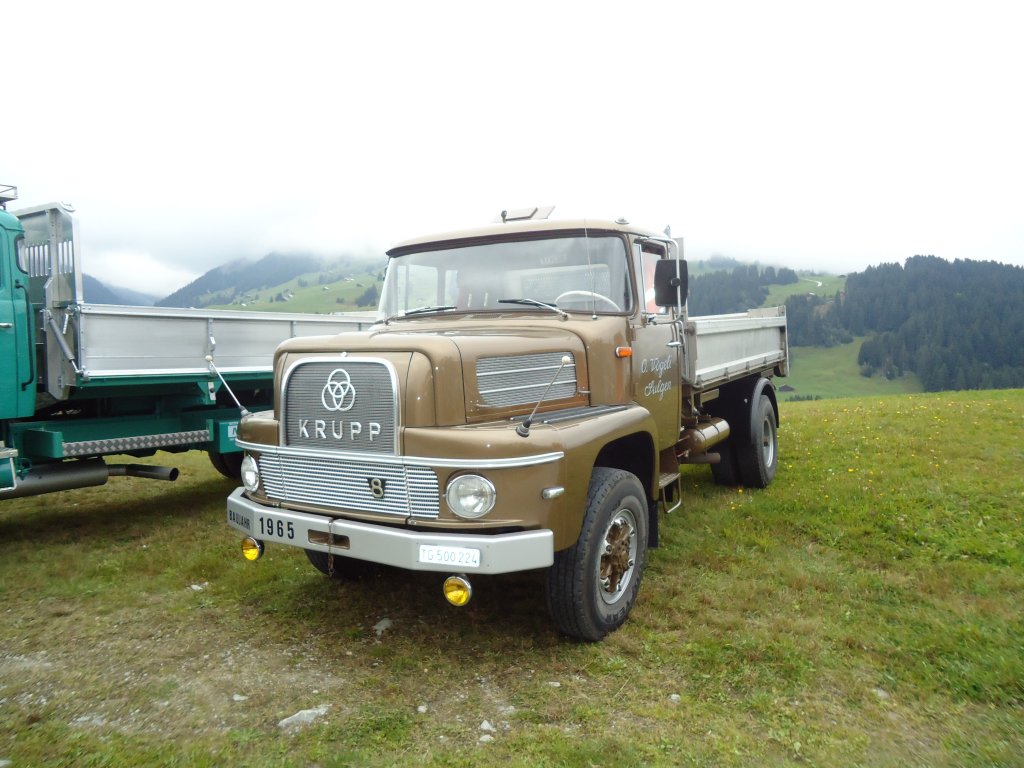 (130'007) - V�geli, Sulgen - Nr. 8/TG 500'224 - Krupp am 18. September 2010 in Breil, Milit�ranlage