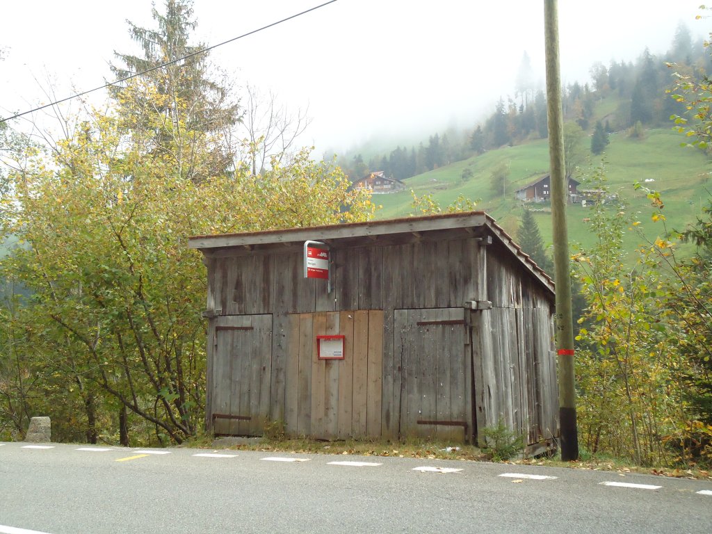 (130'336) - Im Frutigspissen Ladholz: AFA-Haltestelle B�nigen am 11. Oktober 2010