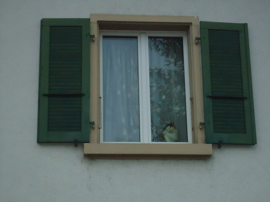 (131'972) - Warten auf das Heimkommen am 2. Januar 2011