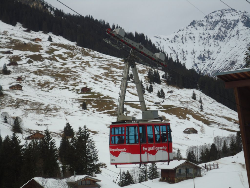 (132'270) - Luftseilbahn Unter dem Birg-Engstligenalp - LUBE 4 - am 9. Januar 2011 in Adelboden, Unter dem Birg