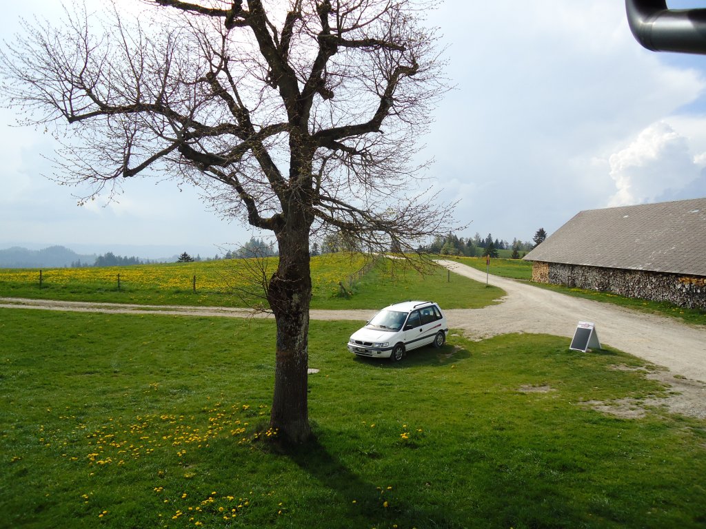 (133'515) - Hinterarnialp am 30. April 2011 bei Wasen im Emmental