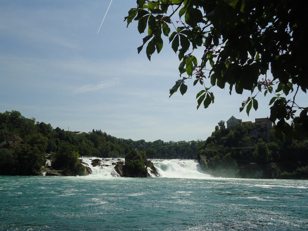 (133'768) - Schloss Laufen am Rheinfall am 23. Mai 2011 bei Neuhausen