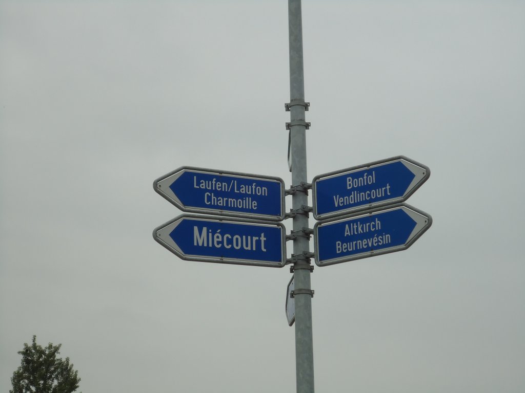 (133'944) - Wegweiser am 2. Juni 2011 in Alle