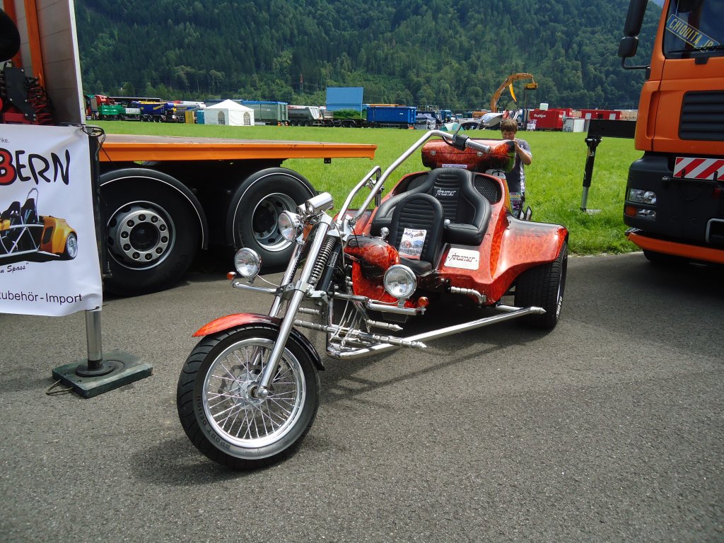 (134'385) - Stramer - BE 6095 U - am 25. Juni 2011 in Interlaken, Flugplatz