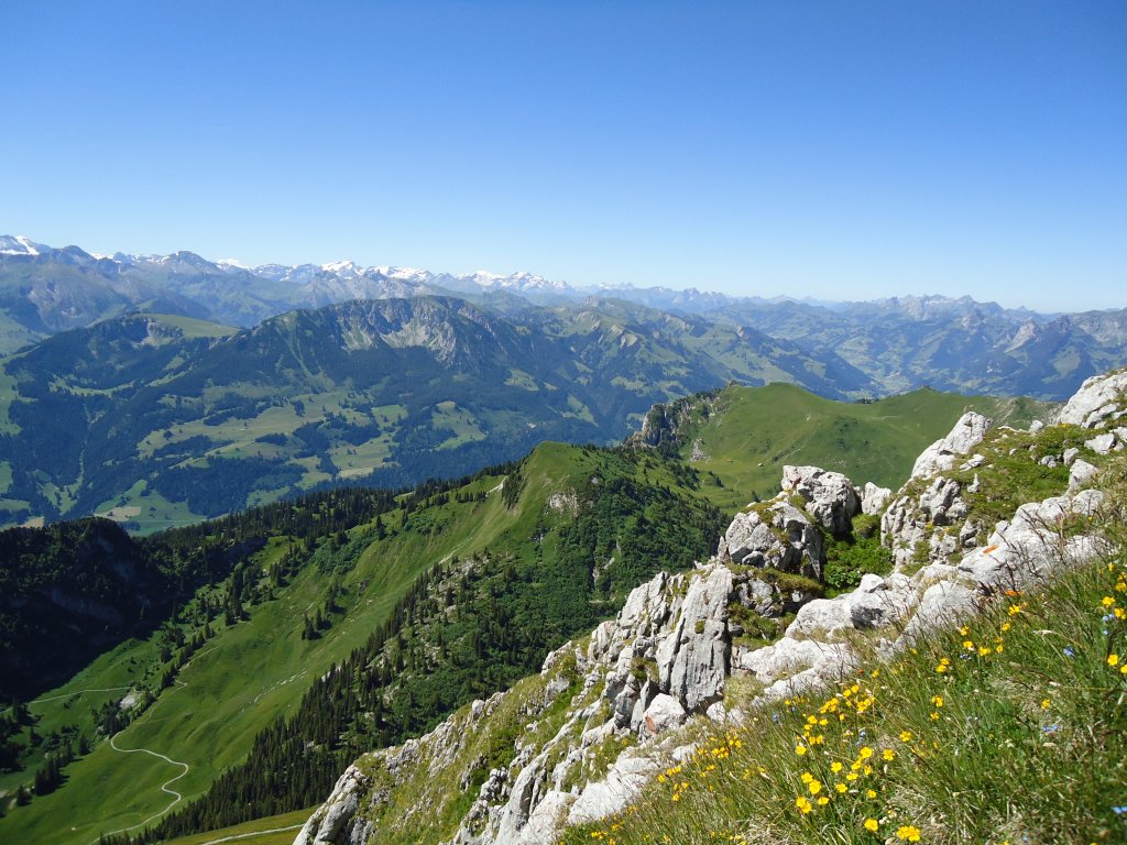 (134'443) - Aussicht vom Stockhorn am 26. Juni 2011