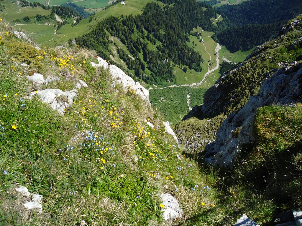 (134'449) - Aussicht vom Stockhorn am 26. Juni 2011