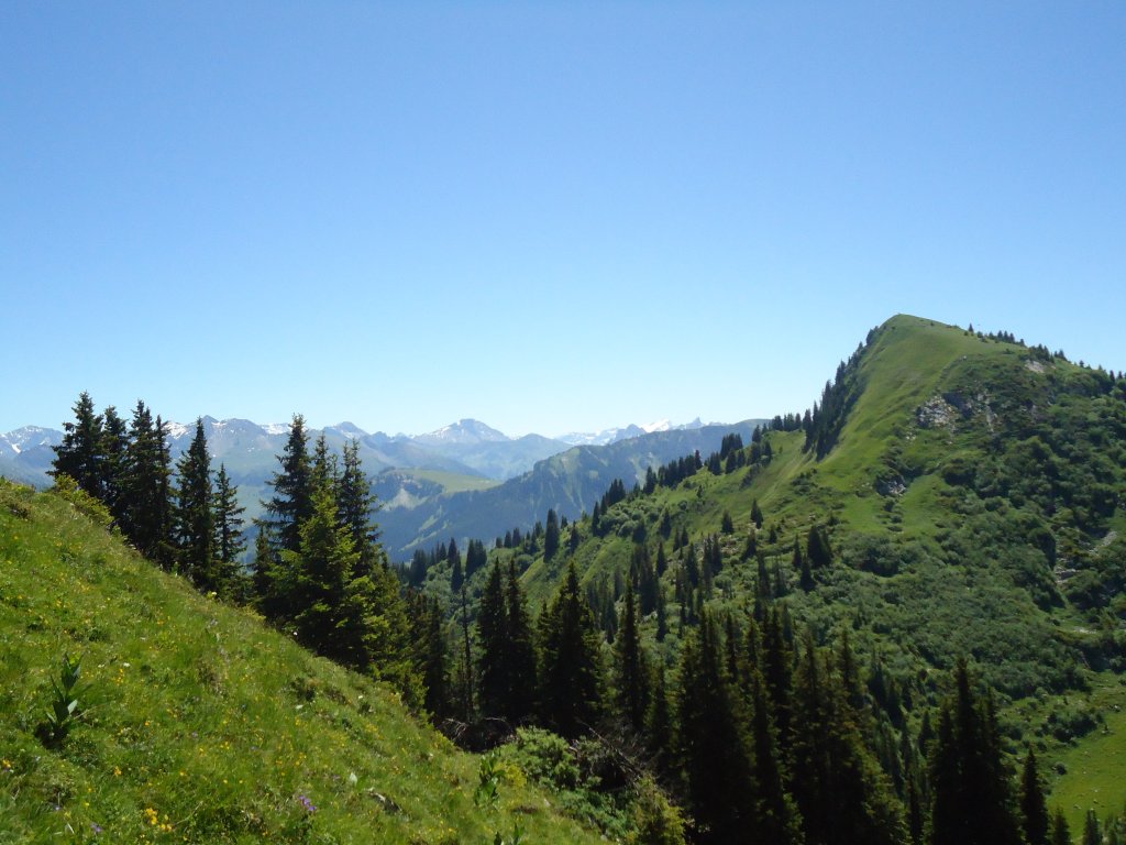 (134'499) - Landschaft im Stockhorngebiet am 26. Juni 2011