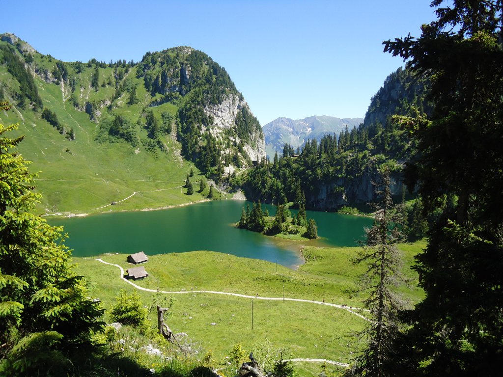 (134'507) - Der Stockensee im Stockhorngebiet am 26. Juni 2011
