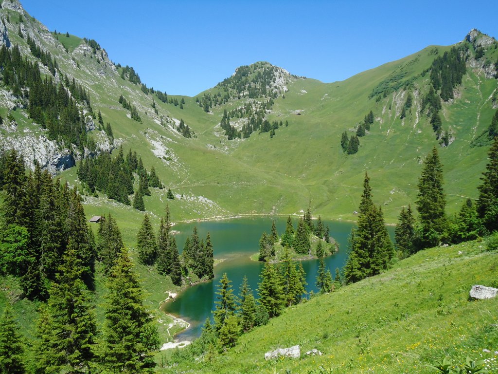 (134'513) - Der Stockensee im Stockhorngebiet am 26. Juni 2011