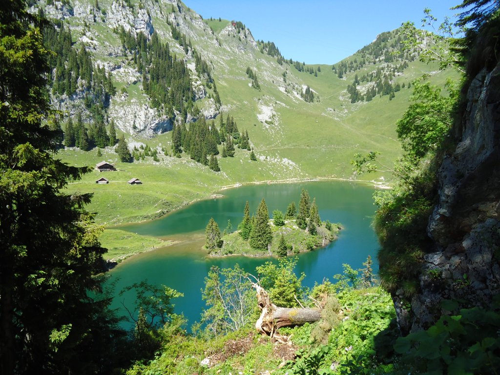 (134'515) - Der Stockensee im Stockhorngebiet am 26. Juni 2011