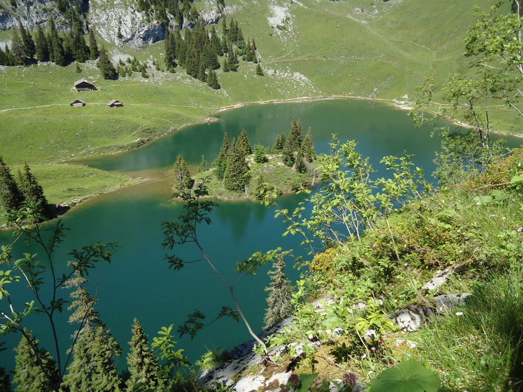(134'516) - Der Stockensee im Stockhorngebiet am 26. Juni 2011