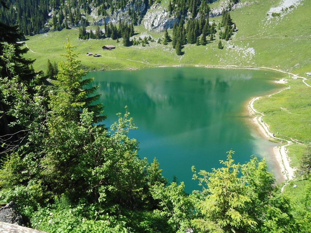 (134'530) - Der Stockensee im Stockhorngebiet am 26. Juni 2011