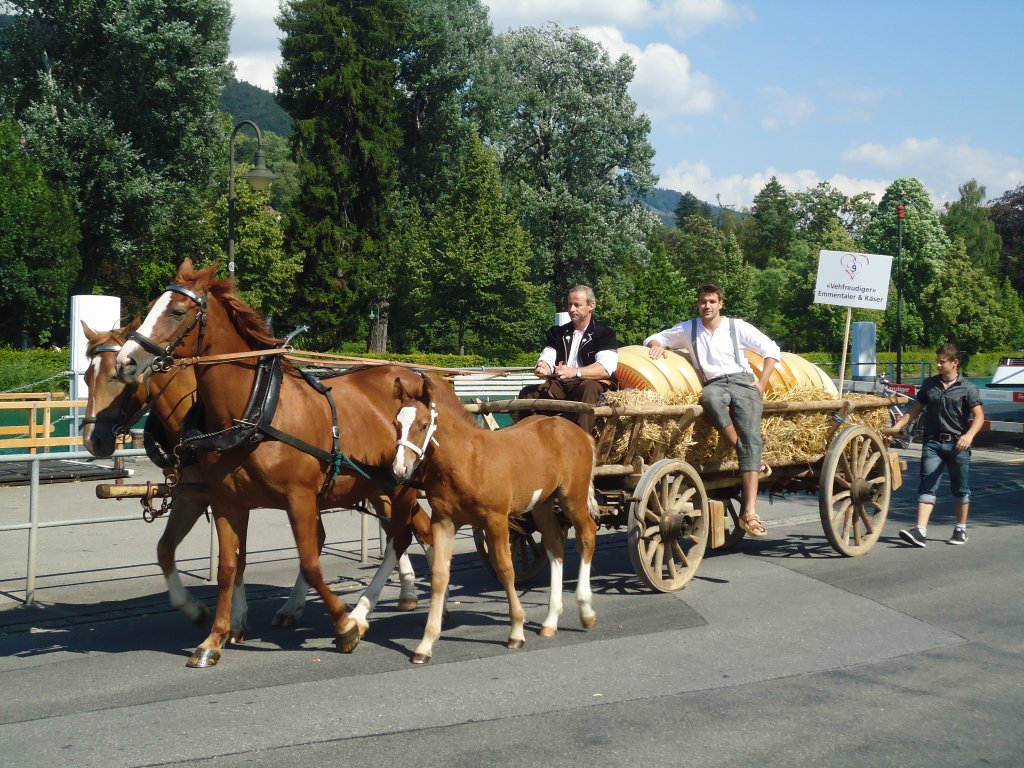 (134'613) -  Vehfreudiger  Emmentaler & K�ser am 2. Juli 2011 bei der Schiffl�ndte Thun