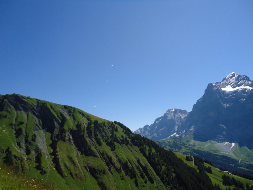 (134'697) - Aussicht vom Bachl�ger bei Grindelwald am 3. Juli 2011