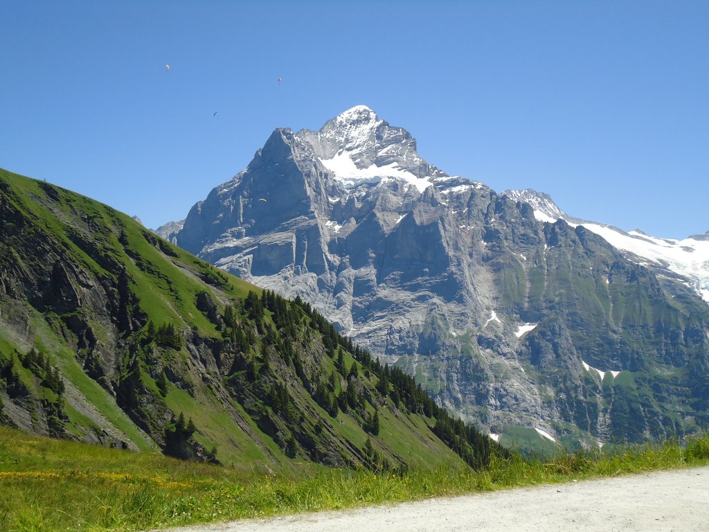 (134'716) - Aussicht vom Bachl�ger bei Grindelwald am 3. Juli 2011