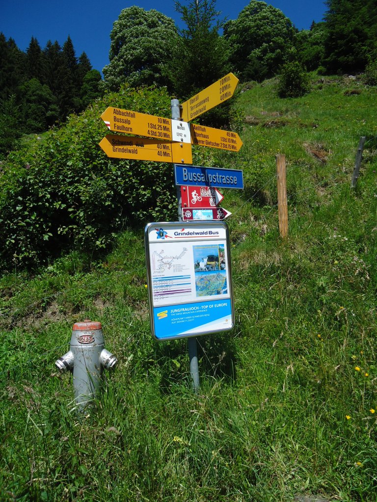 (134'735) - Wanderweg-Wegweiser + Grindelwald Bus-Haltestelle - Grindelwald, Weidli - am 3. Juli 2011