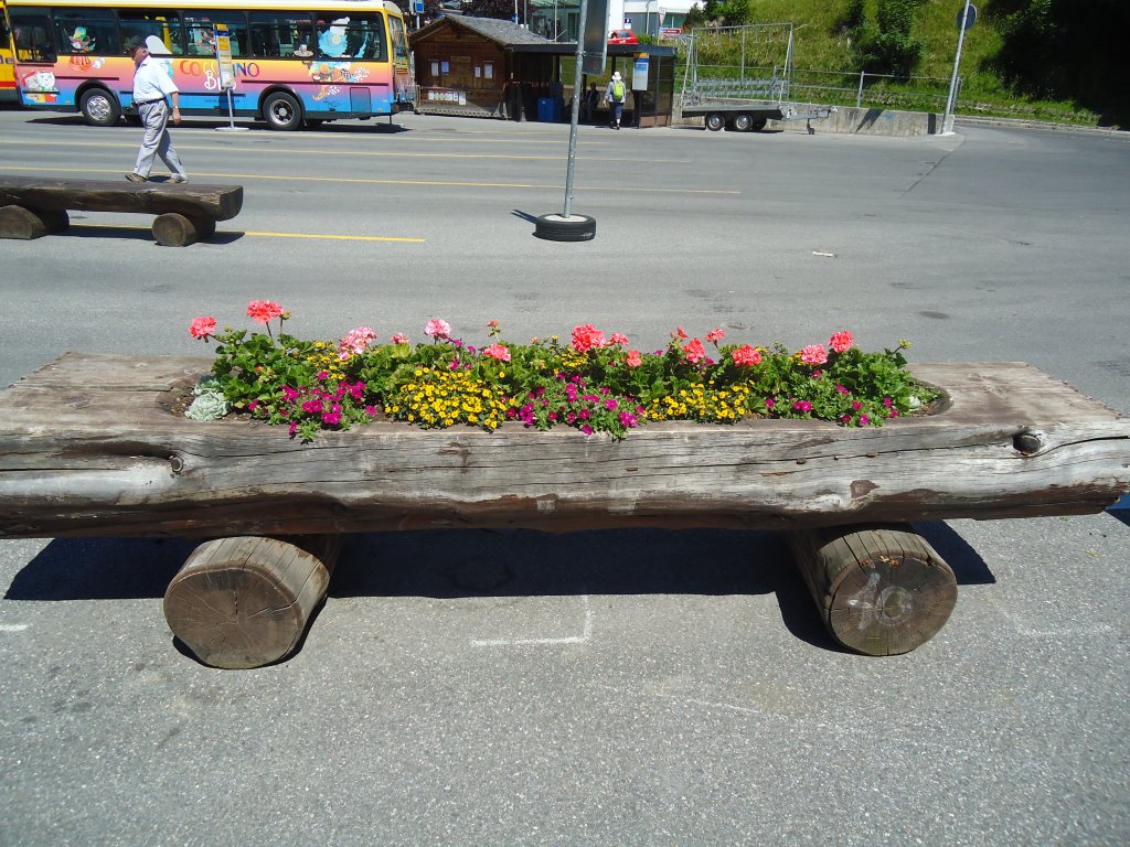 (134'755) - Blumentr�gli in Grindelwald am 3. Juli 2011