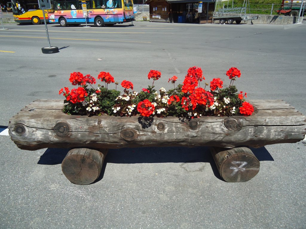 (134'756) - Blumentr�gli in Grindelwald am 3. Juli 2011