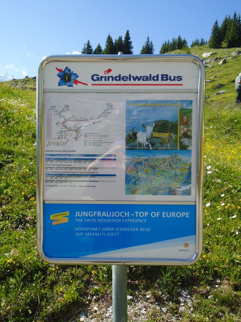 (134'782) - Grindelwald Bus-Haltestelle - Grindelwald, Oberer Lauchb�hl - am 3. Juli 2011