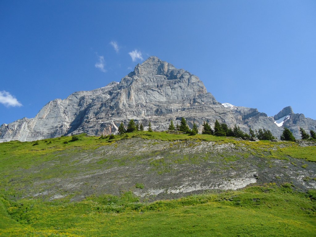 (134'796) - Aussicht von der Grossen Scheidegg bei Grindelwald am 3. Juli 2011