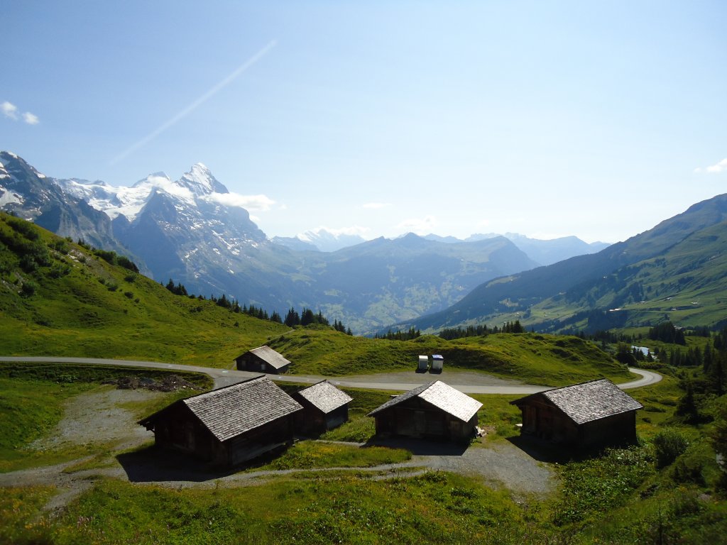 (134'798) - Auf der Grossen Scheidegg bei Grindelwald am 3. Juli 2011