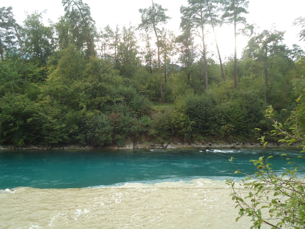 (135'973) - Die Zulg m�ndet in die Aare am 18. September 2011 nach einem Gewitter im Zulgtal