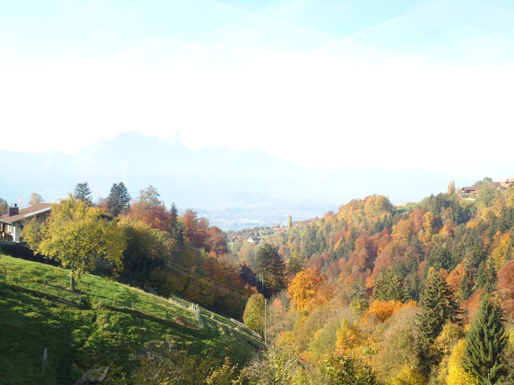(136'691) - Herbststimmung in Sigriswil am 31. Oktober 2011