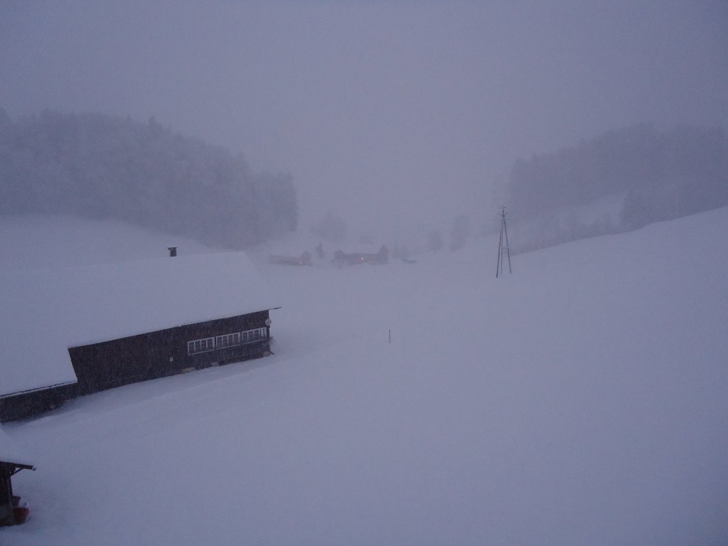 (137'598) - Wintermorgen am 21. Januar 2012 in Egg/Bregenzerwald