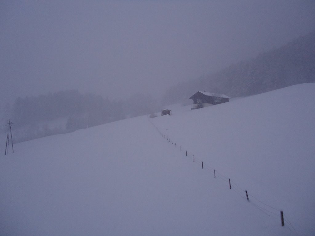 (137'599) - Wintermorgen am 21. Januar 2012 in Egg/Bregenzerwald