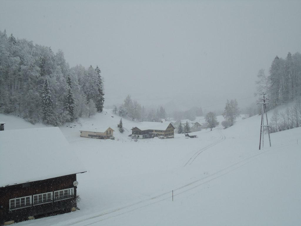 (137'602) - Wintermorgen am 21. Januar 2012 in Egg/Bregenzerwald