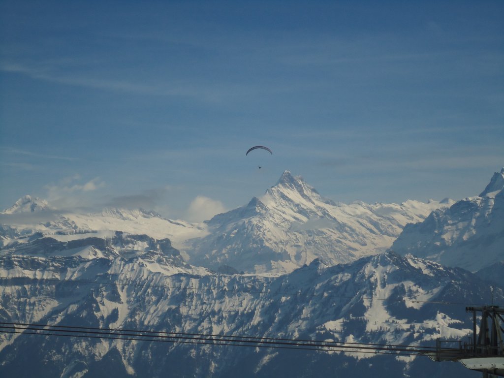 (138'323) - Basejumper �ber dem Niederhorn am 11. M�rz 2013