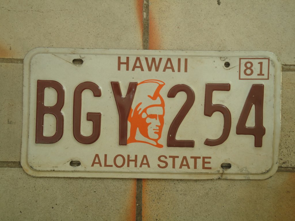 (138'409) - Autonummer aus Amerika - BGY 254 - am 31. M�rz 2012 im BrockiShop