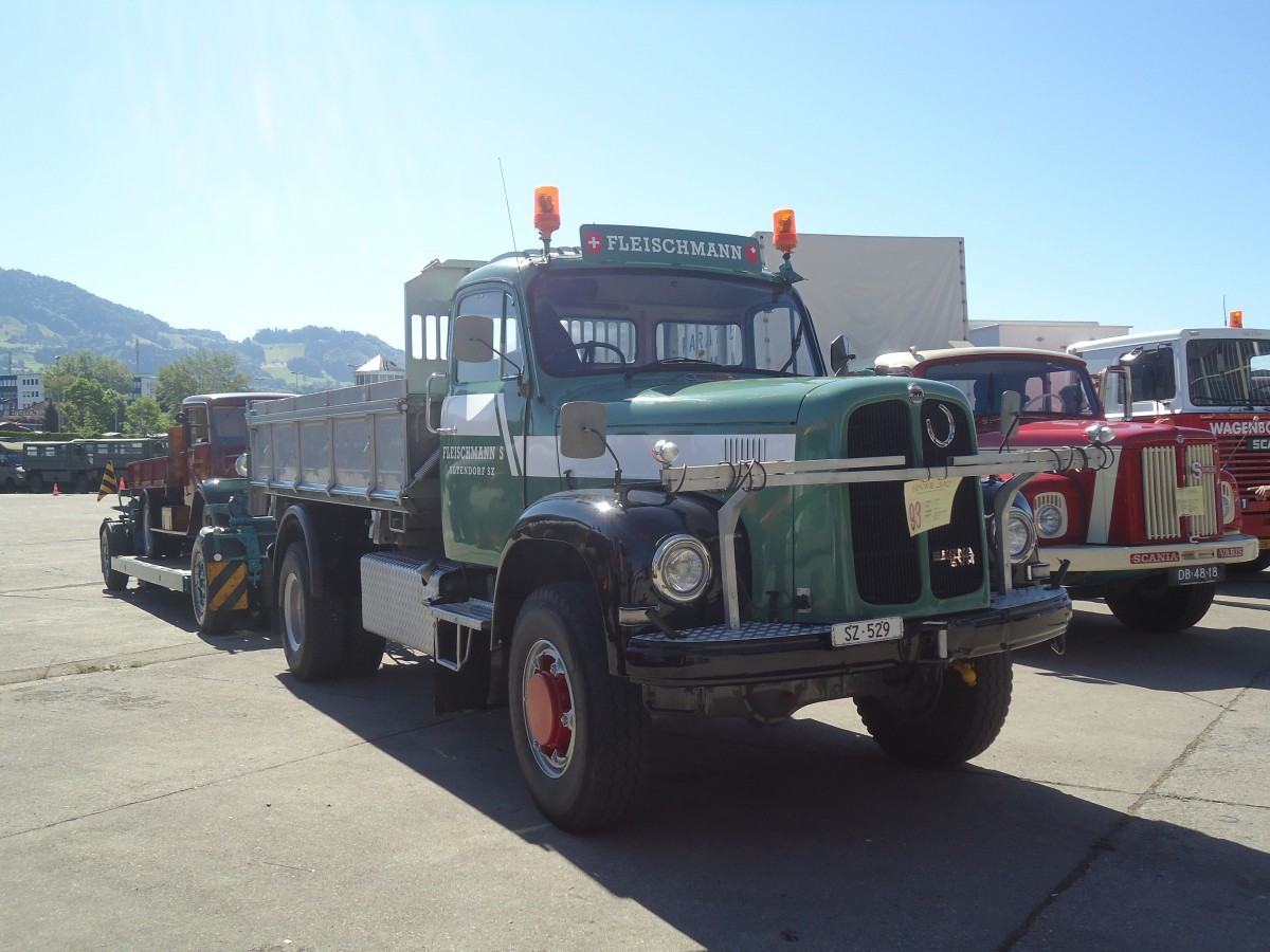 (139'621) - Fleischmann, Altendorf - SZ 529 - Berna am 16. Juni 2012 in Hinwil, AMP