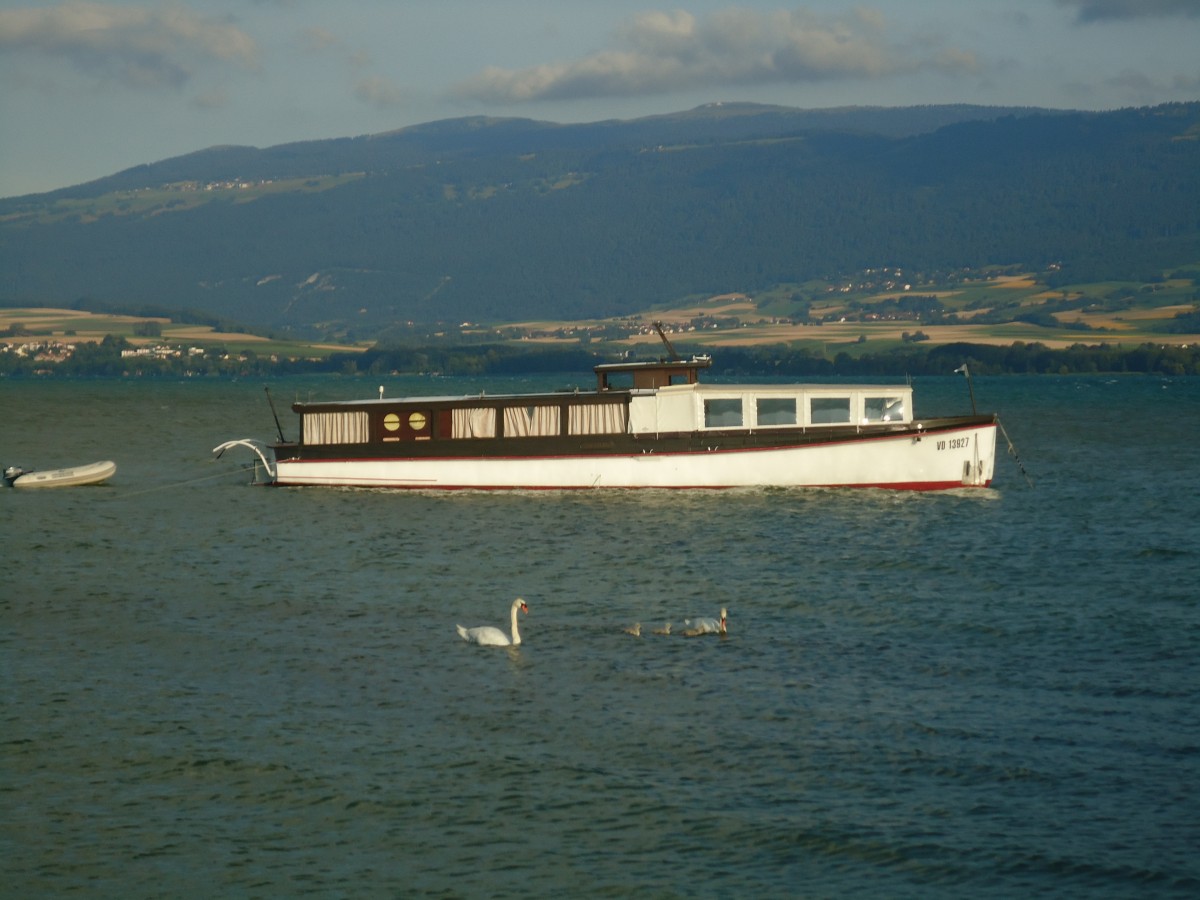 (140'755) - Motorschiff - VD 13'927 - auf dem Neuenburgersee und Schwanenfamilie am 22. Juli 2012