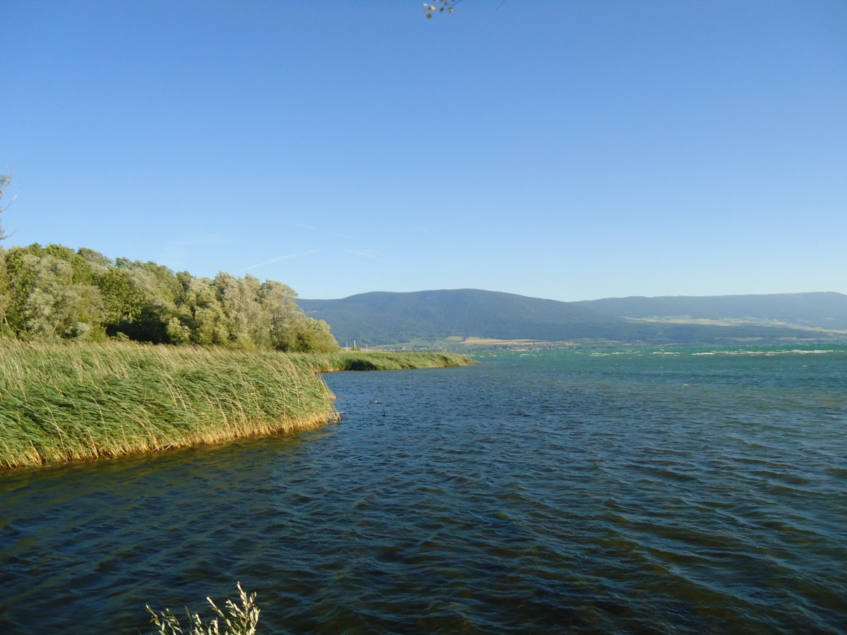 (140'798) - Am Neuenburgersee am 23. Juli 2012