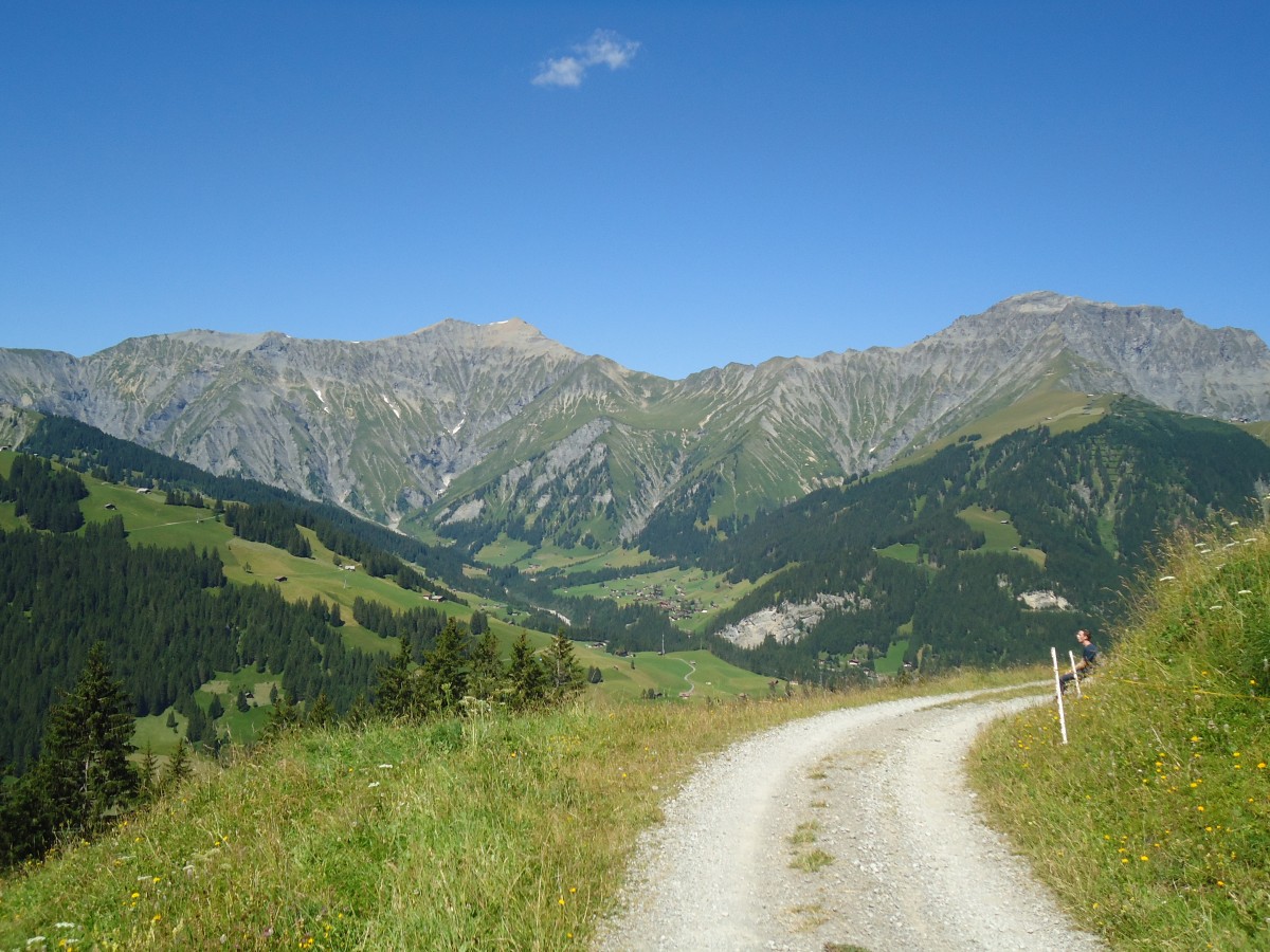 (140'978) - Blick in den Stiegelschwand bei Adelboden am 1. August 2012 von der Alp Laueli aus