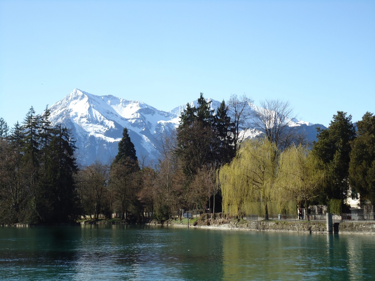 (143'633) - Der Niesen vom Thunerhof aus am 15. April 2013