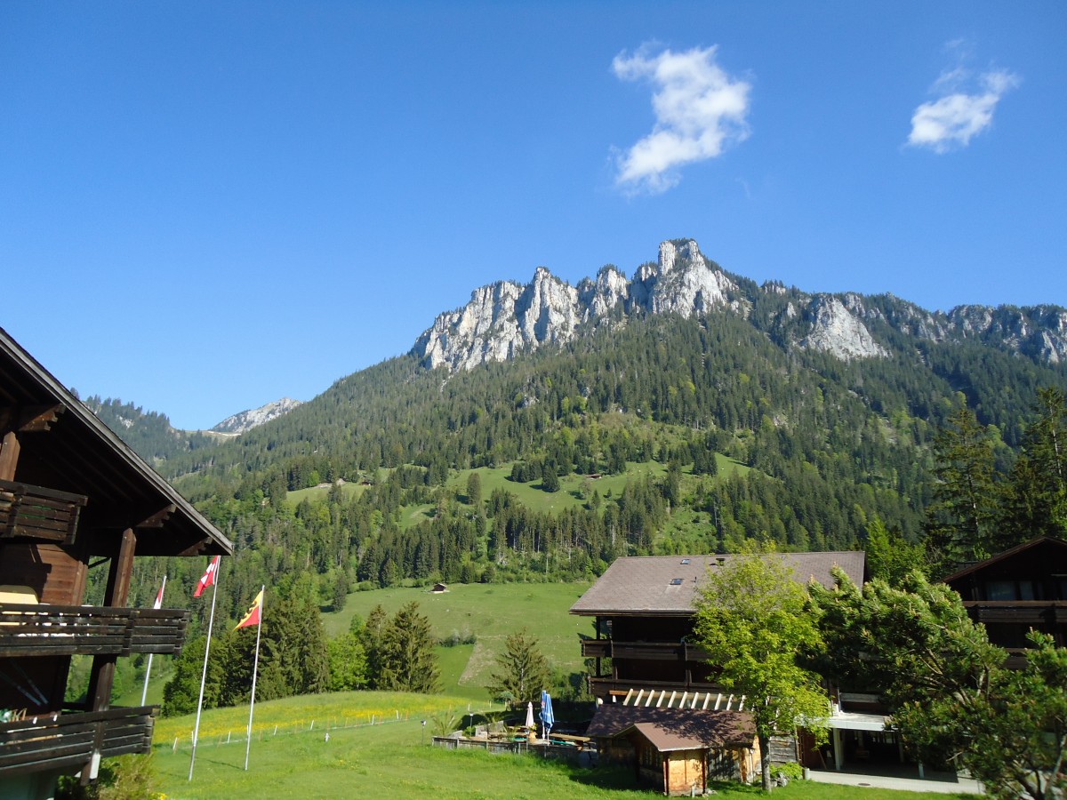 (144'832) - Bei Horboden im Diemtigtal am 7. Juni 2013