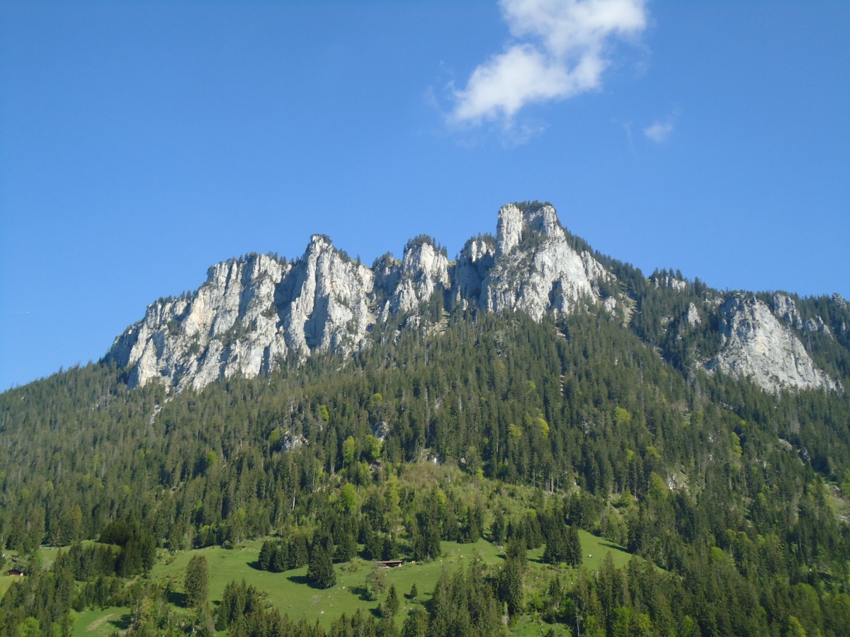(144'833) - Bei Horboden im Diemtigtal am 7. Juni 2013